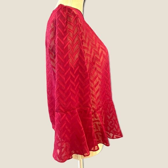 BCBGMaxazaria | EUC Women’s Sheer Bell Sleeved Blouse Size M - Picture 3 of 8